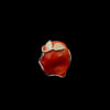 Anello Argento e Corallo Rosso Sardegna - Stone & Leaves